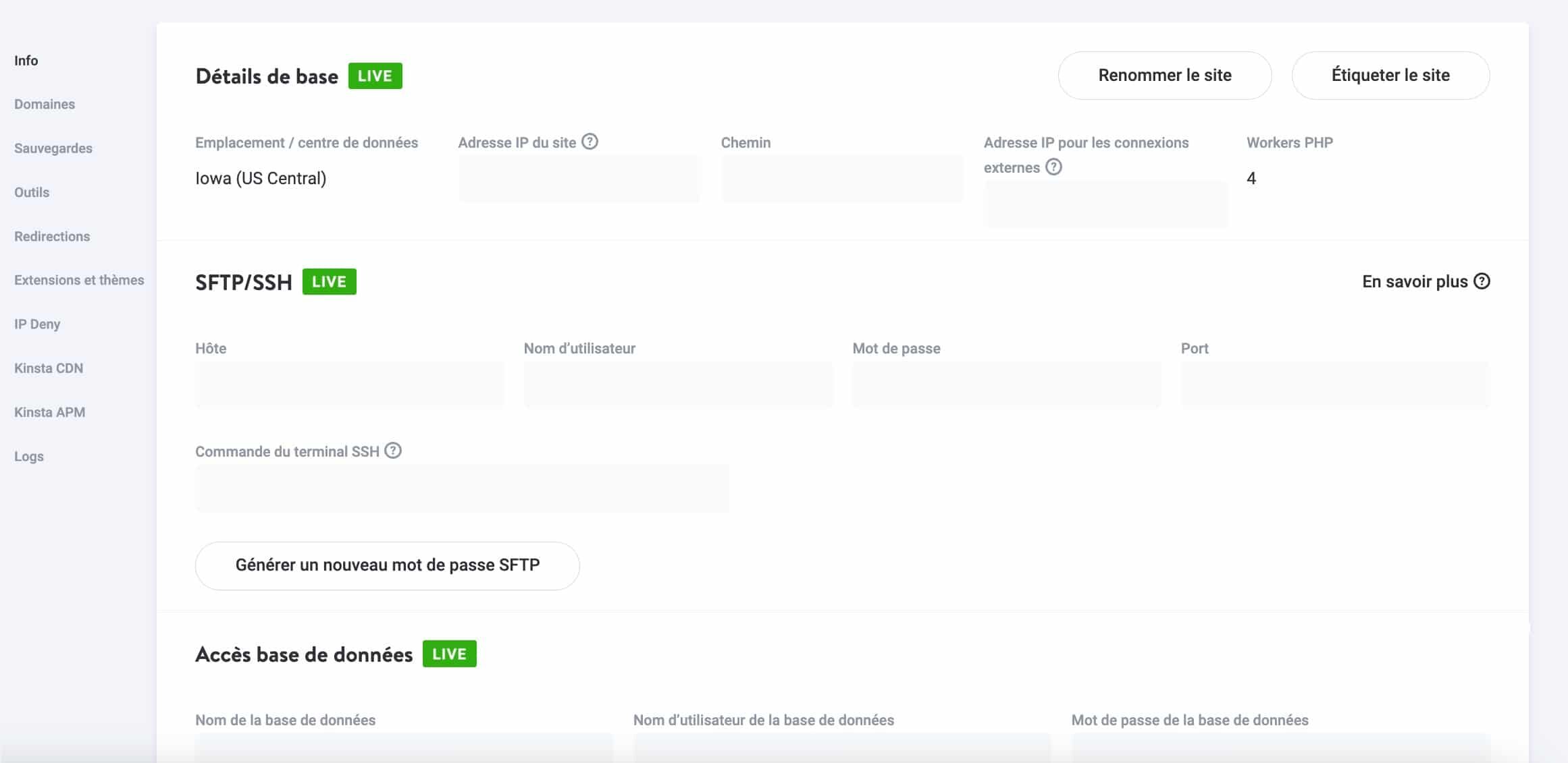 L'onglet info dans MyKinsta