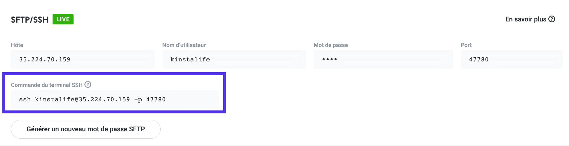 Détails de MyKinsta SSH