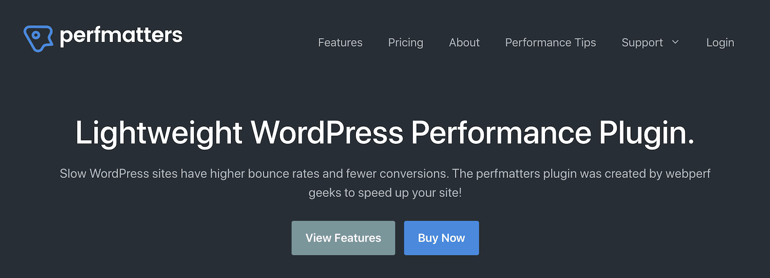 Extension WordPress Perfmatters