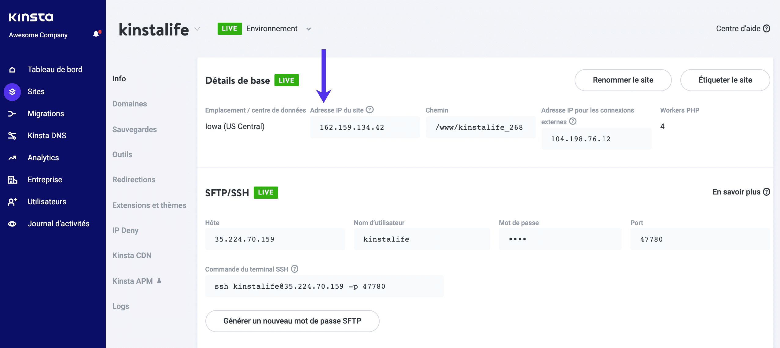 Adresse IP du site de Kinsta (A record)