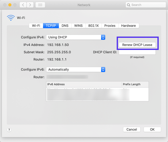 Renouveler le DHCP dans macOS