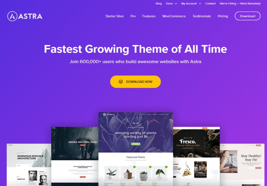 astra - WordPress membership theme