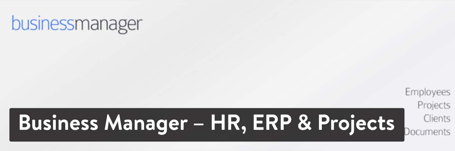 Extension WordPress Business Manager - RH, ERP & Projects