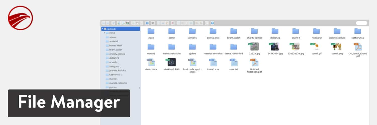 Extension File Manager