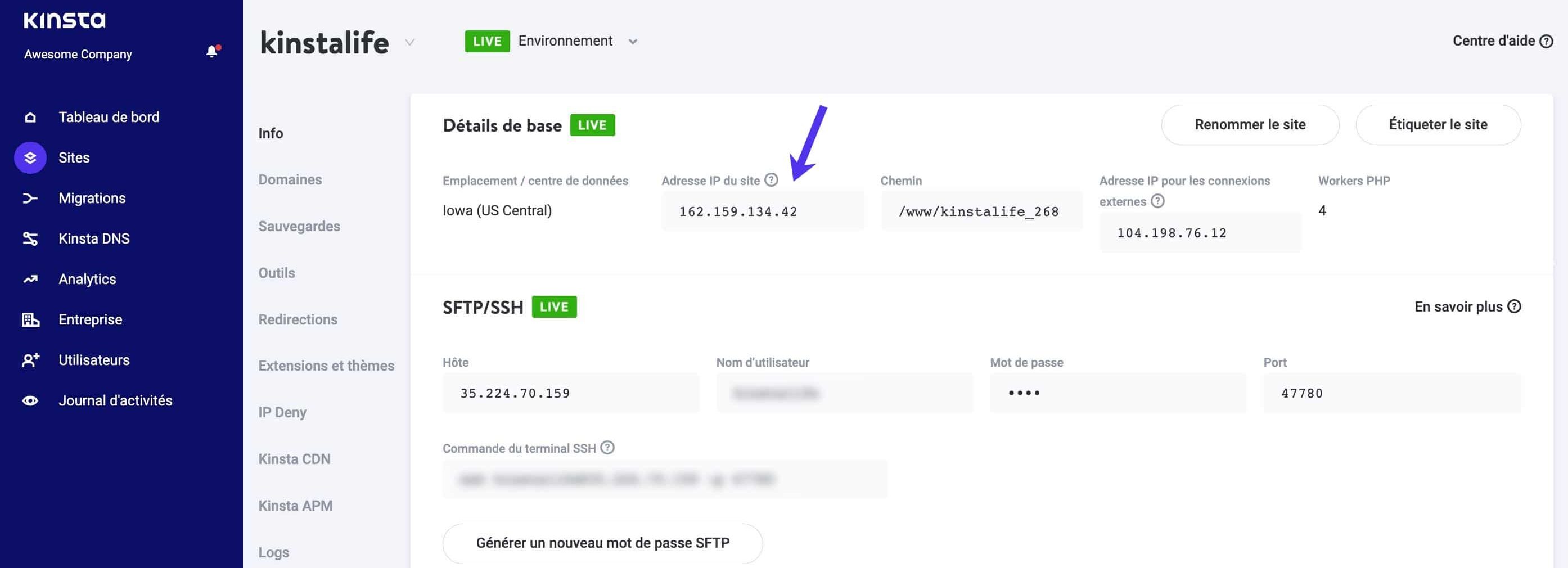 Adresse IP du site WordPress sur MyKinsta