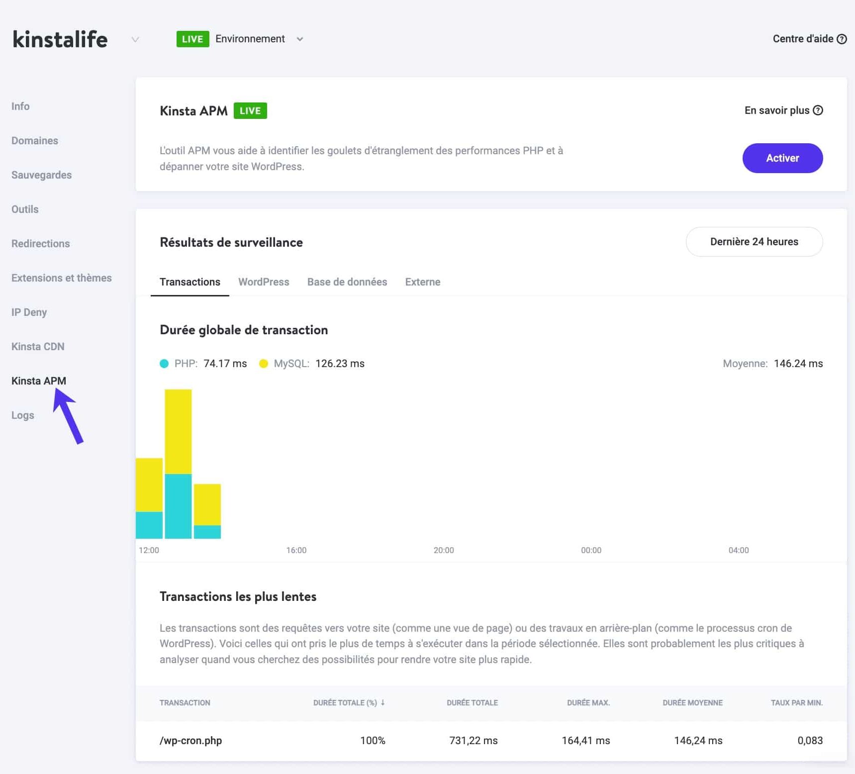 Kinsta APM dans le tableau de bord MyKinsta