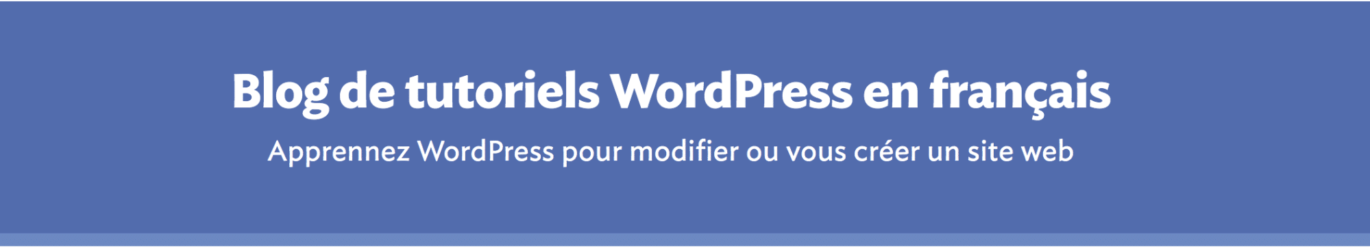 WP Pour les Nuls