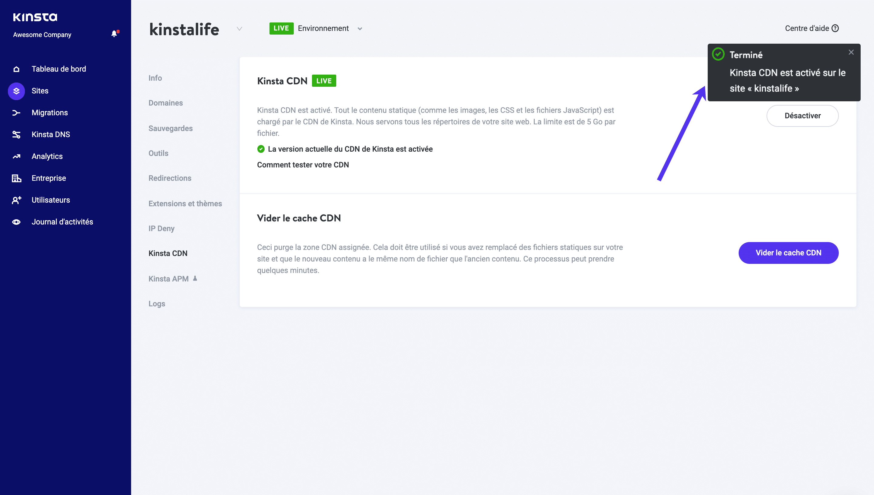 Activation réussie de Kinsta CDN