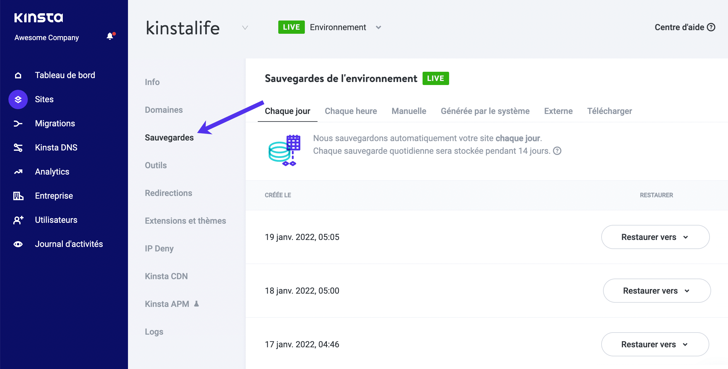 Options de sauvegarde dans MyKinsta.