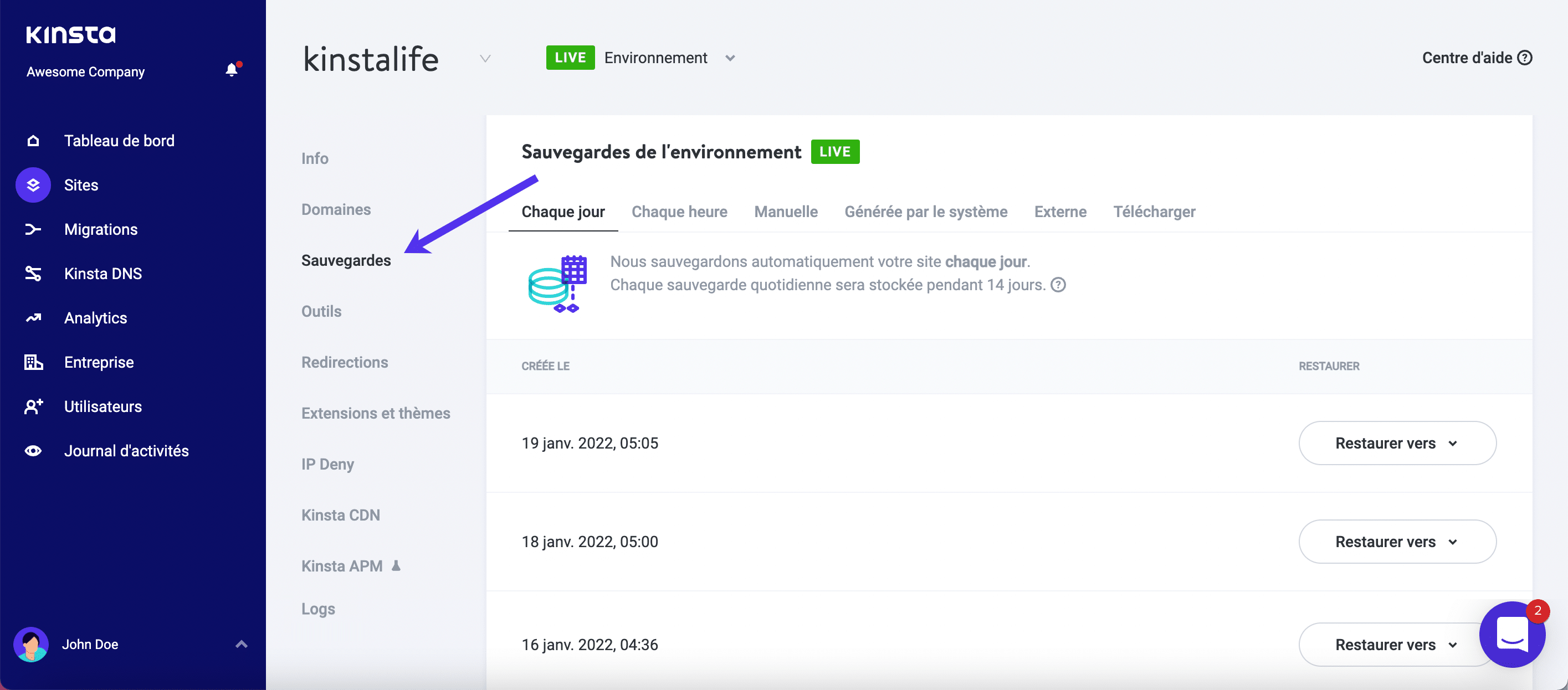 Kinsta propose différents types de sauvegarde.