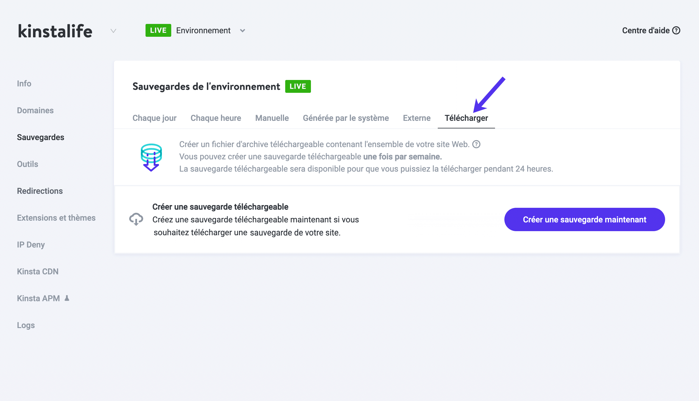 Kinsta prend en charge les sauvegardes téléchargeables.