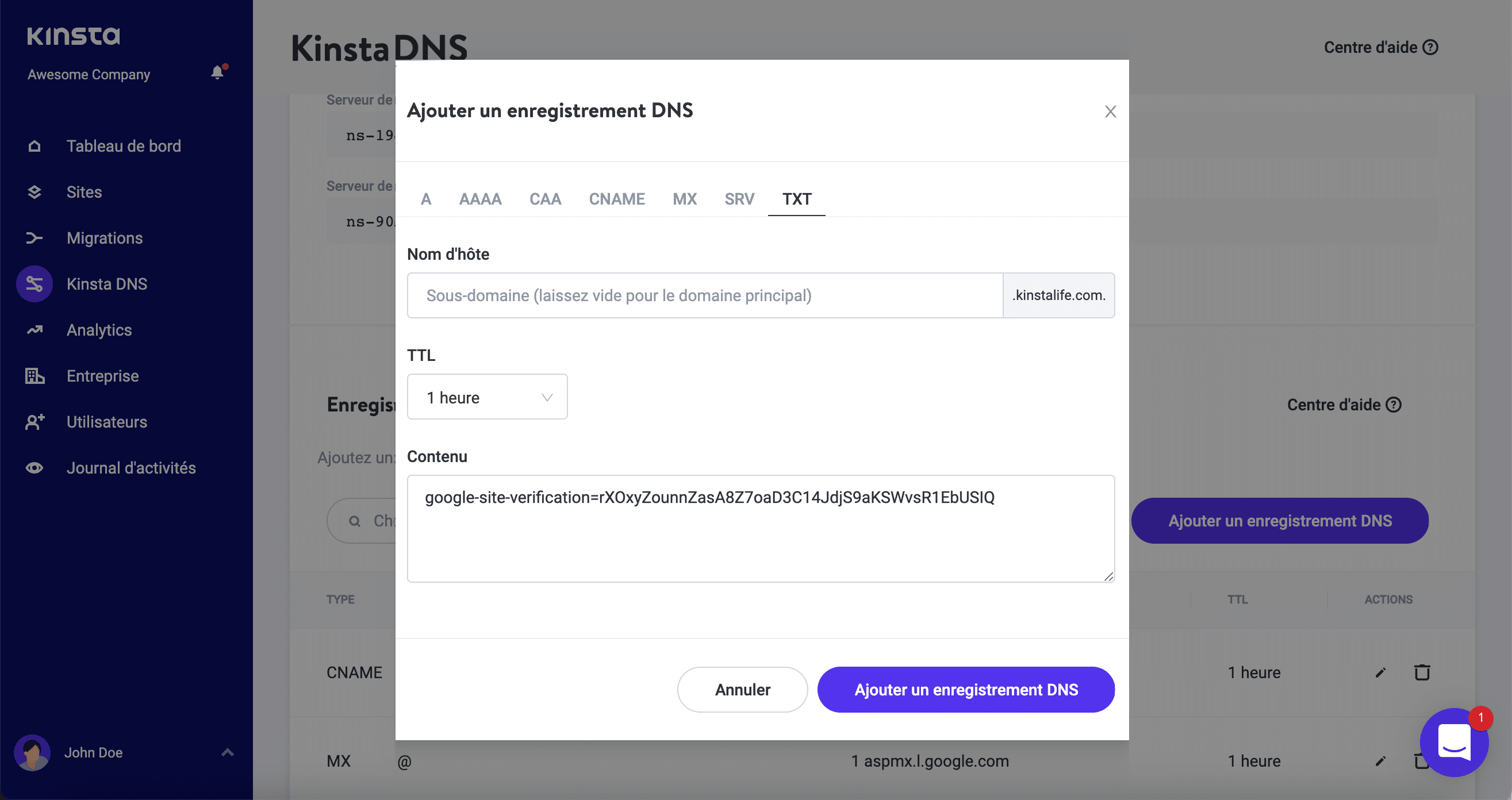 Ajouter un enregistrement TXT dans Kinsta DNS.