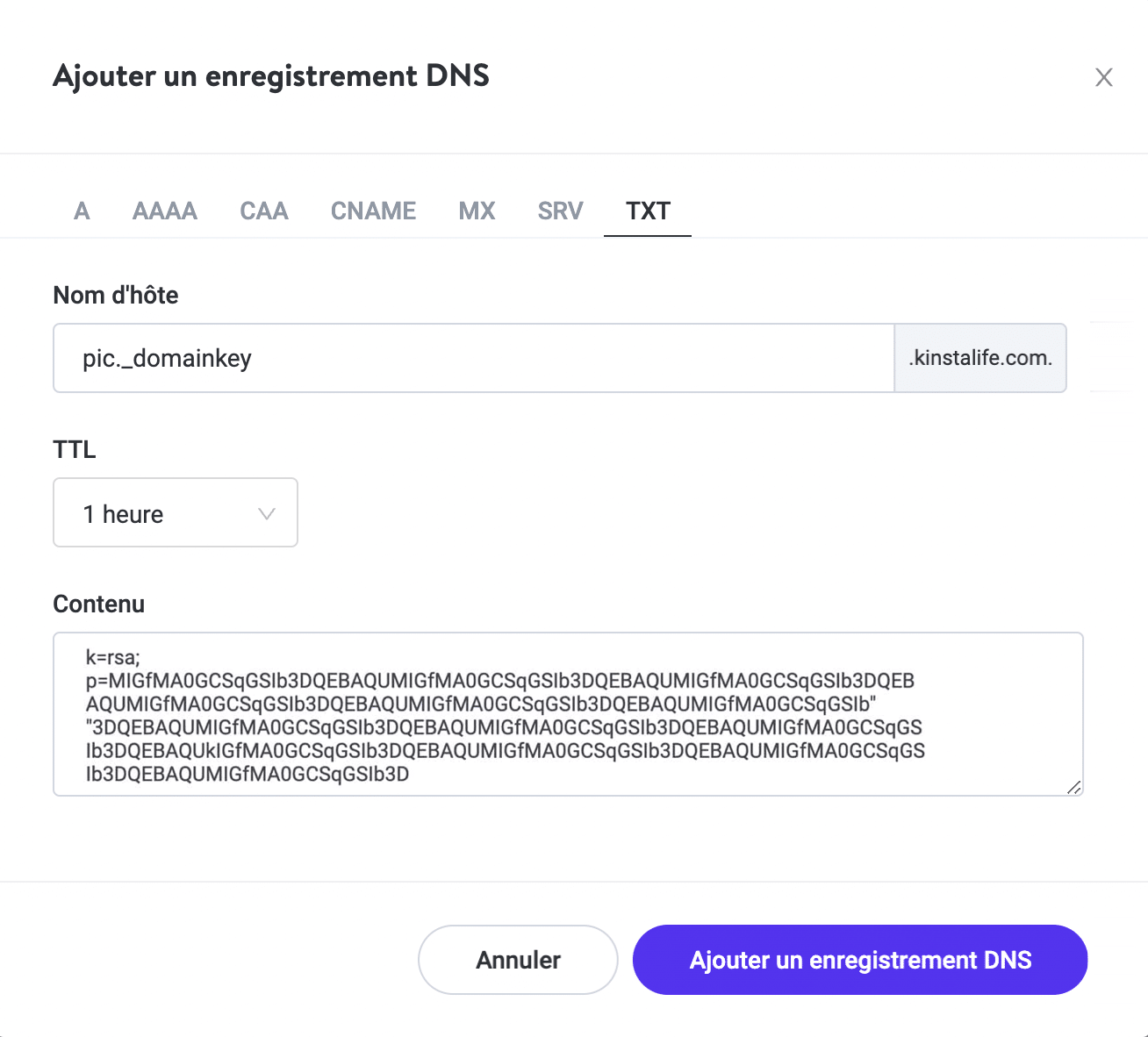 Ajouter un enregistrement DKIM avec plusieurs chaînes dans Kinsta DNS.
