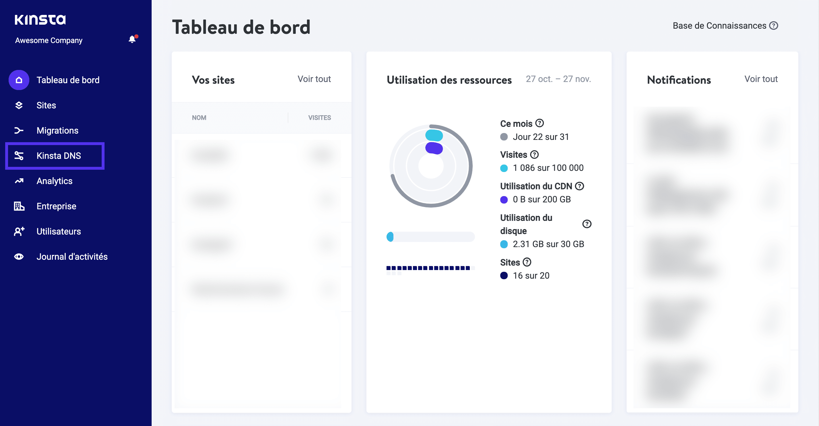 Trouver Kinsta DNS dans le tableau de bord MyKinsta