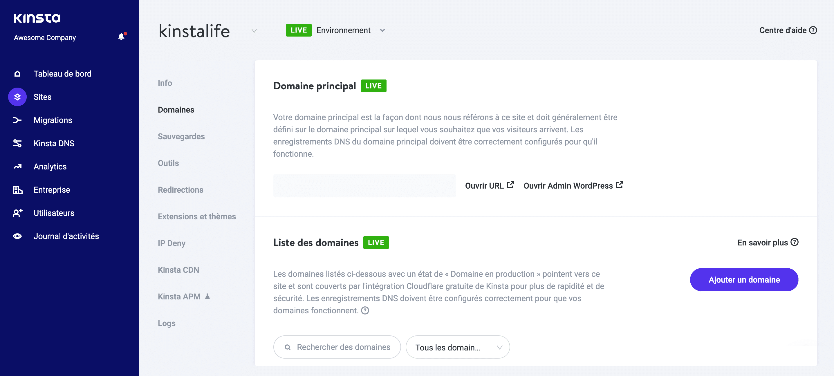 La section Domaines dans MyKinsta.