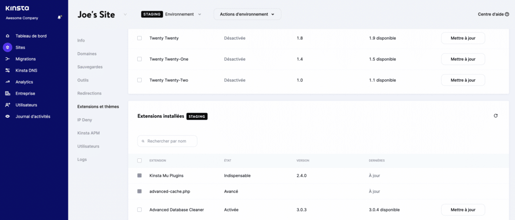 L'écran des extensions et thèmes de MyKinsta.