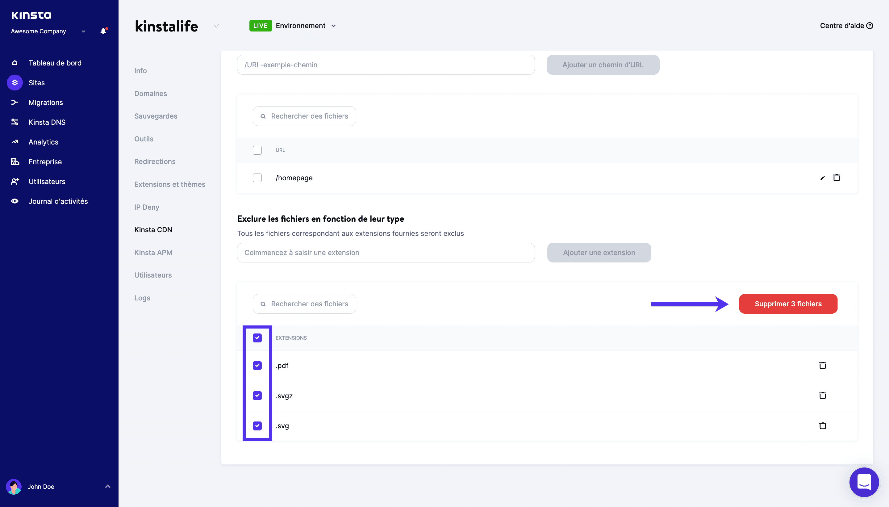 Supprimer les exclusions de types de fichiers multiples dans le CDN de Kinsta.