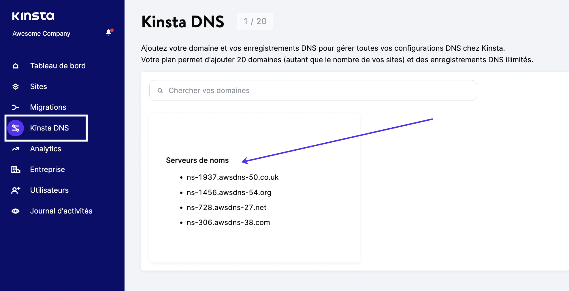 Sélectionnez Kinsta DNS, puis cliquez sur un nom de domaine.
