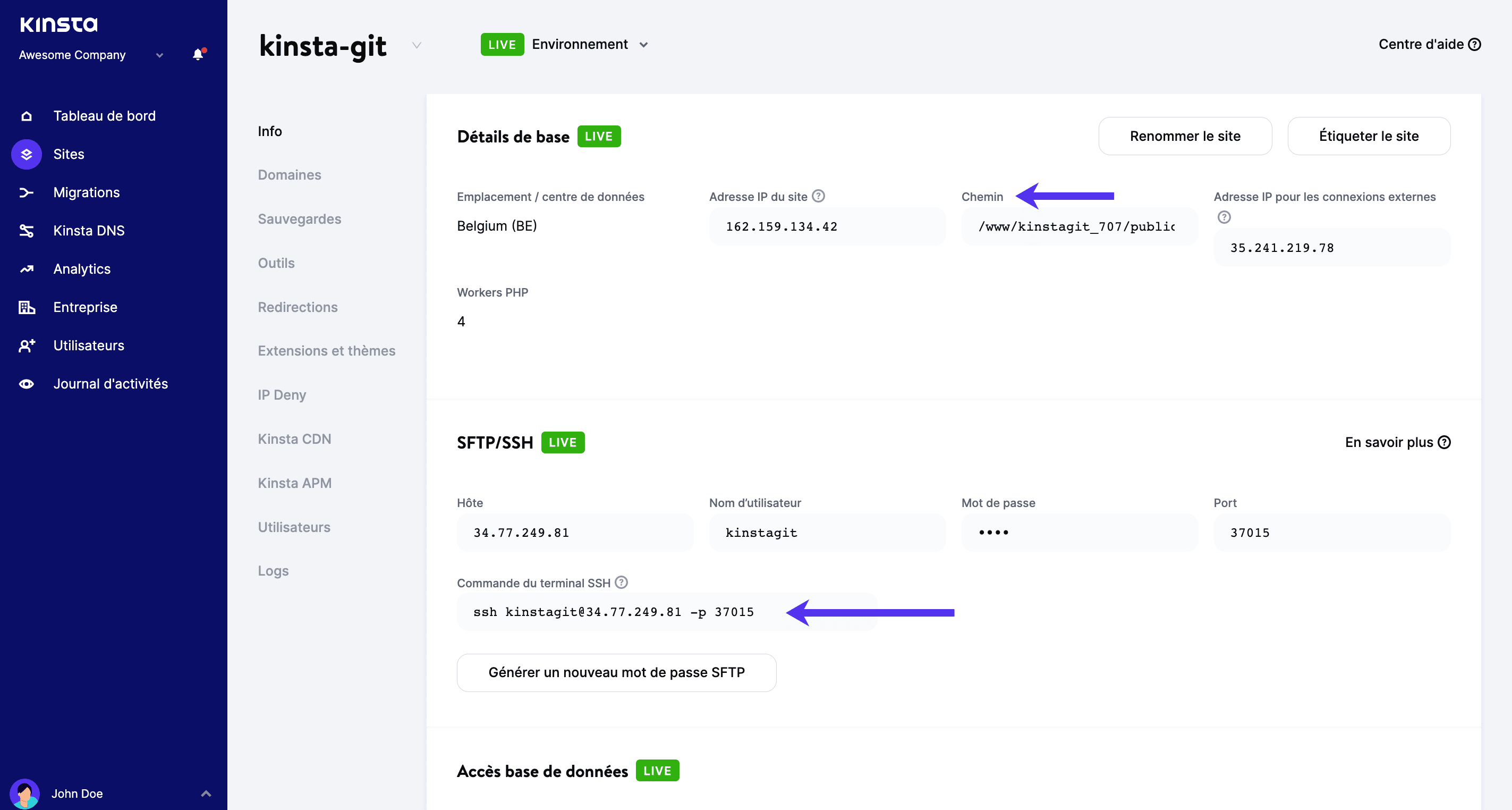 Chemin public et détails SSH dans MyKinsta.