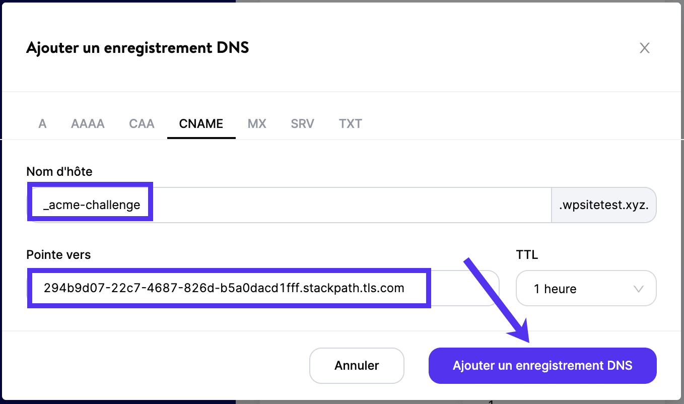 Ajouter le CNAME de vérification de votre domaine dans le DNS de Kinsta