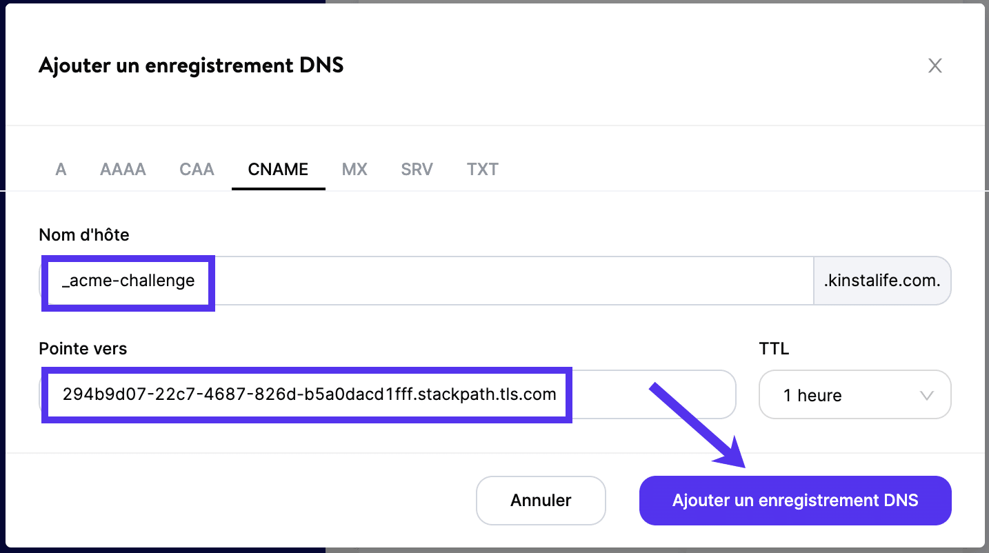 Ajouter le CNAME de vérification de votre domaine dans le DNS de Kinsta.