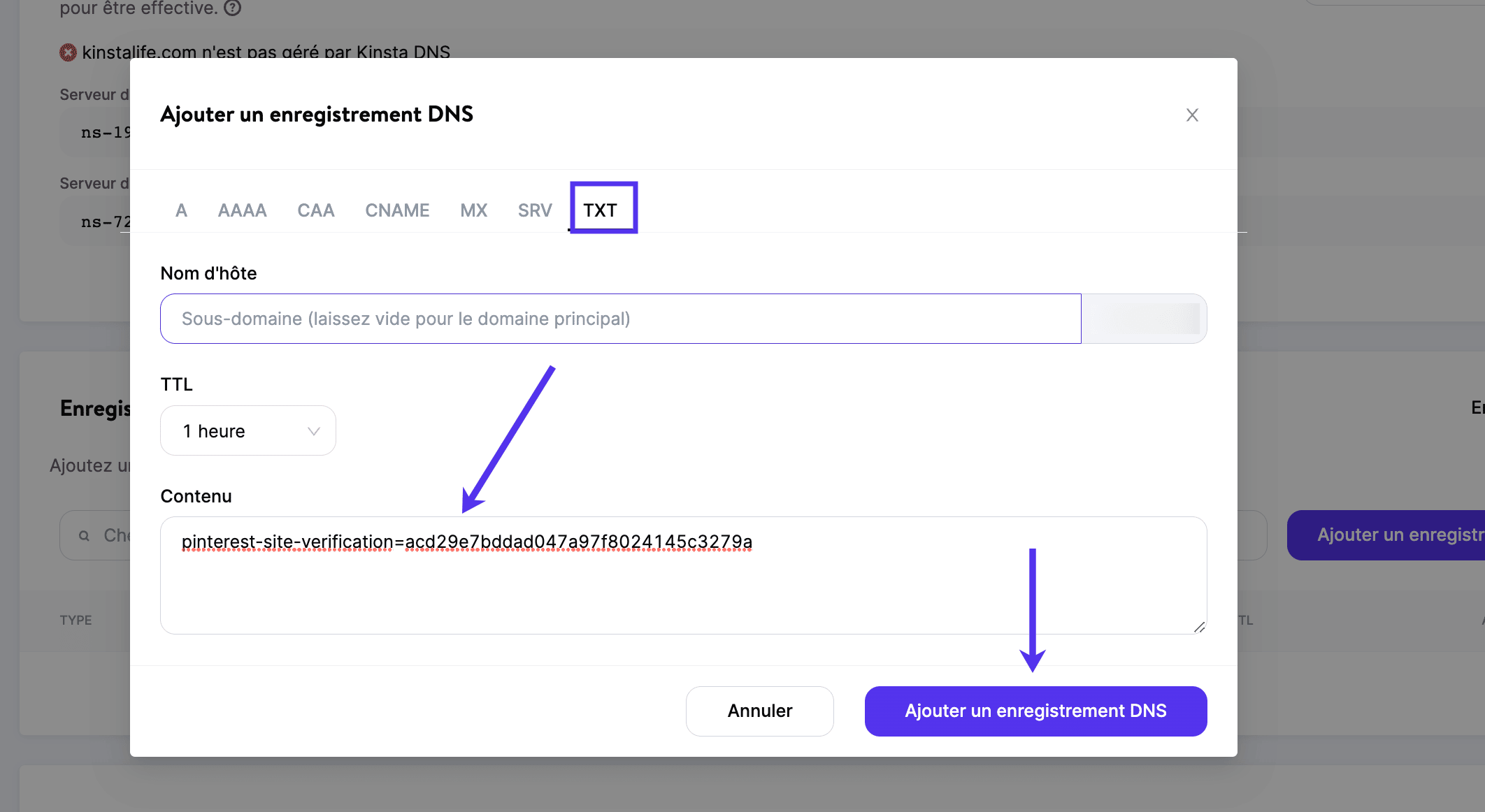 Collez l'enregistrement TXT dans le champ Contenu, puis cliquez sur Ajouter un enregistrement DNS.