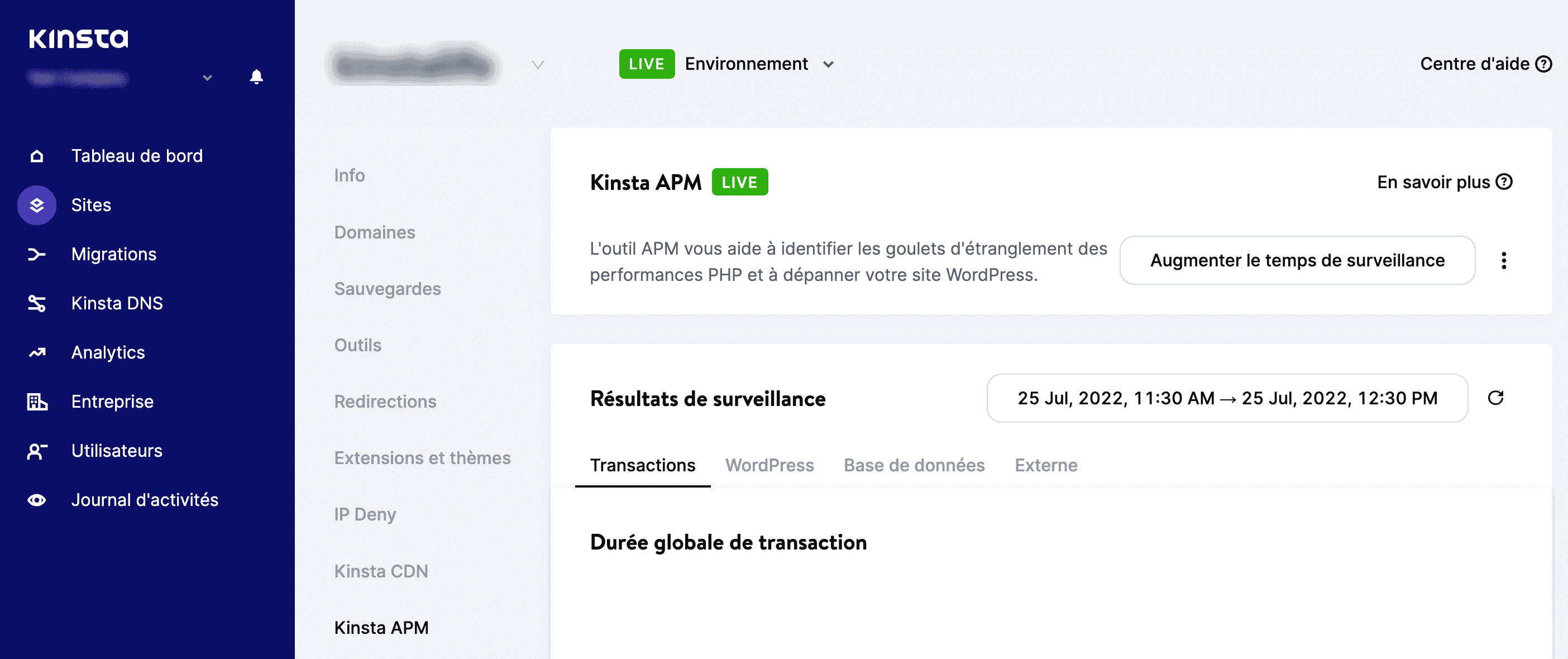 Outil Kinsta APM