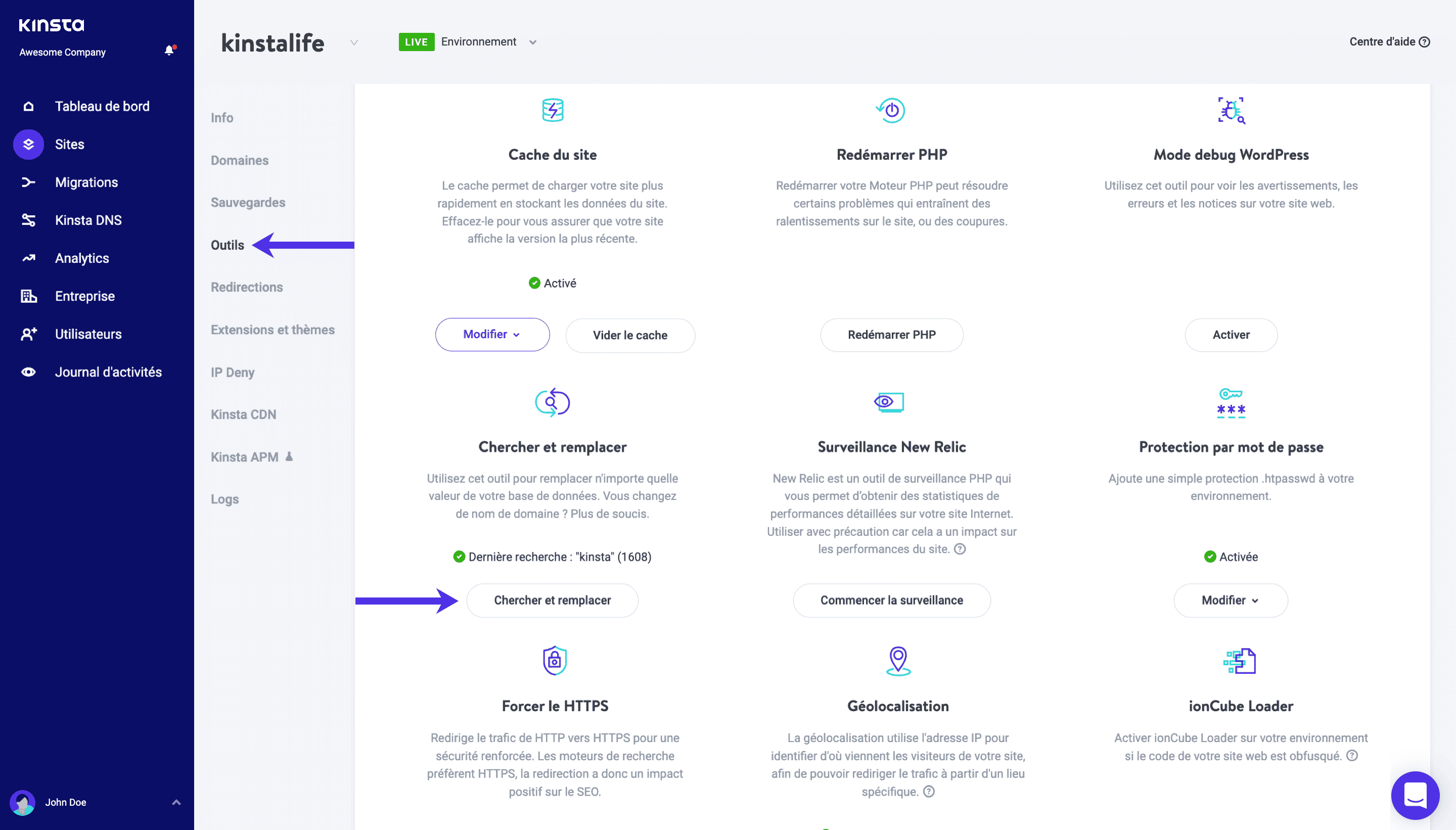 Outil de recherche et de remplacement de Kinsta