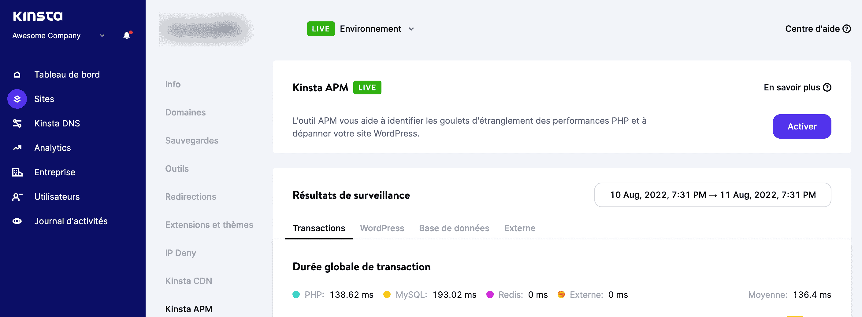 L'outil Kinsta APM