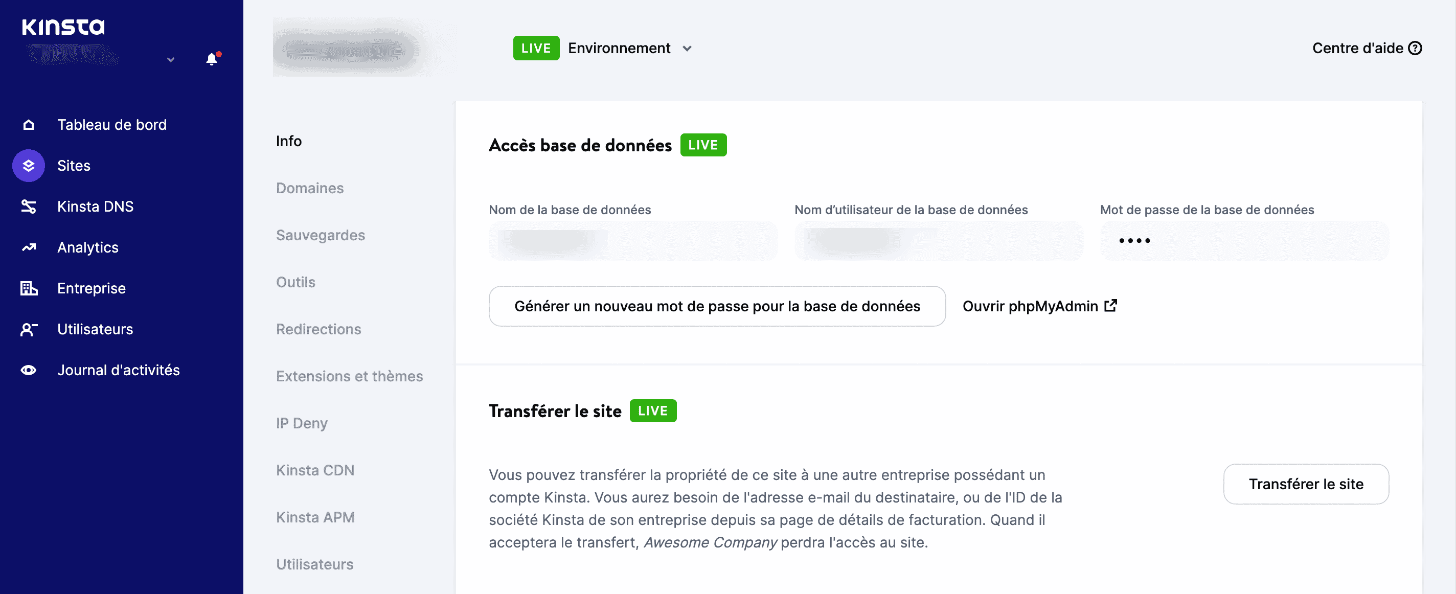 La section d'accès à la base de données depuis MyKinsta