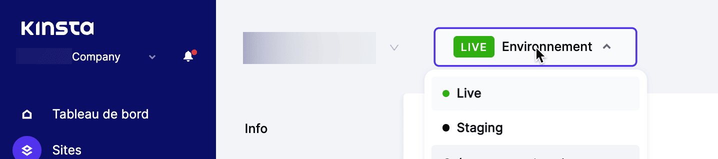 Création d'un site de staging dans MyKinsta