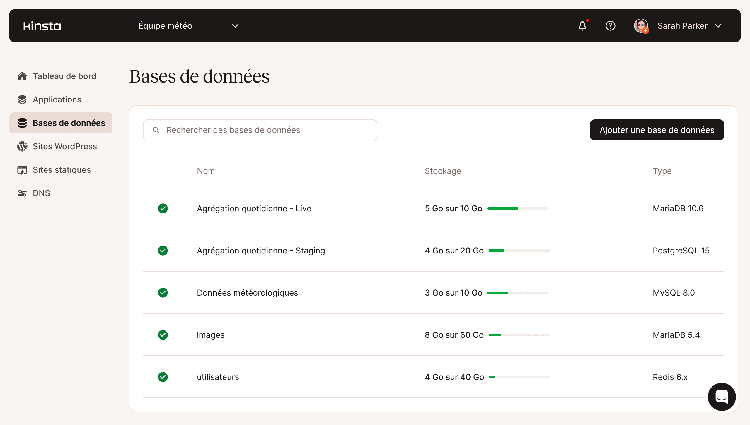 Capture d'écran de la fonctionnalité de gestion de la base de données MyKinsta