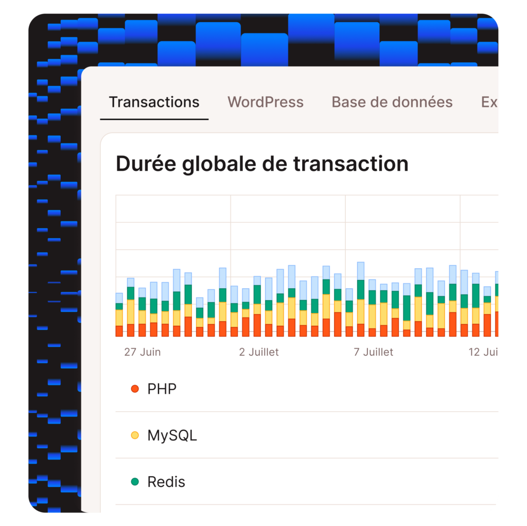 Capture d'écran des transactions dans l'outil MyKinsta APM