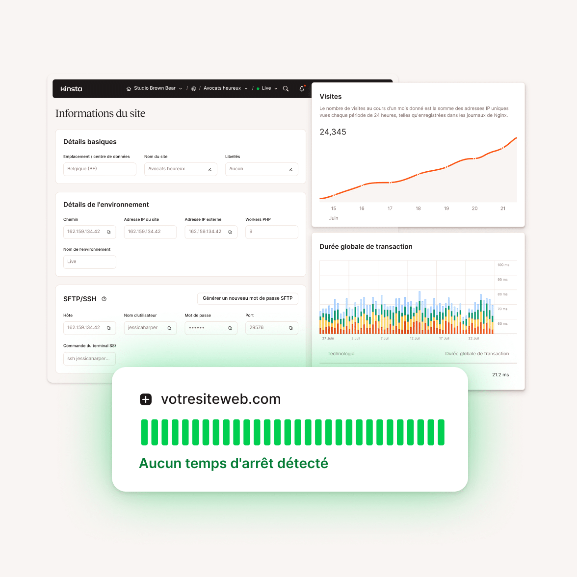 Plateforme d'hébergement Kinsta