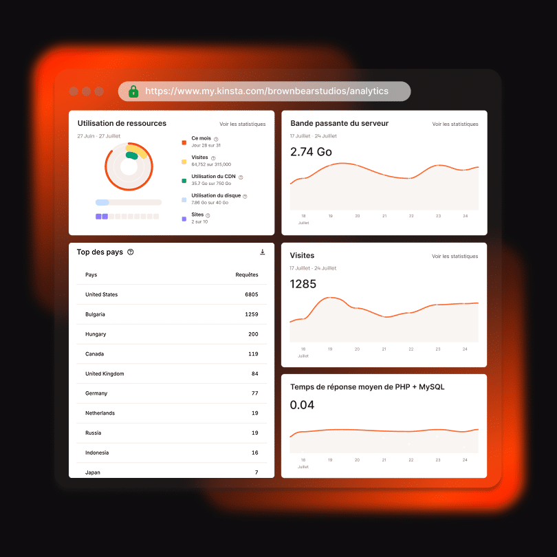 Statistiques et autres ressources disponibles dans le tableau de bord MyKinsta