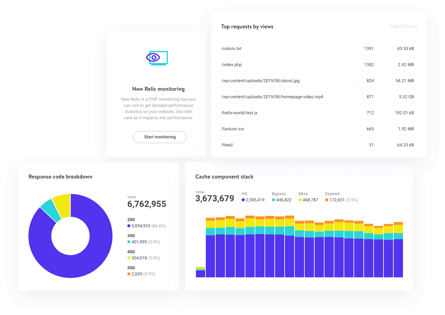 MyKinsta analytics