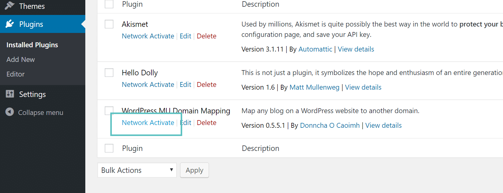 Attivare i plugin sul network su Multisite mappatura domini