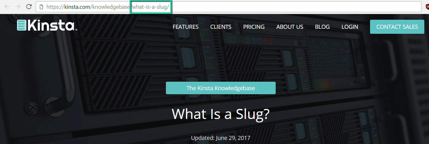 Slug nel browser