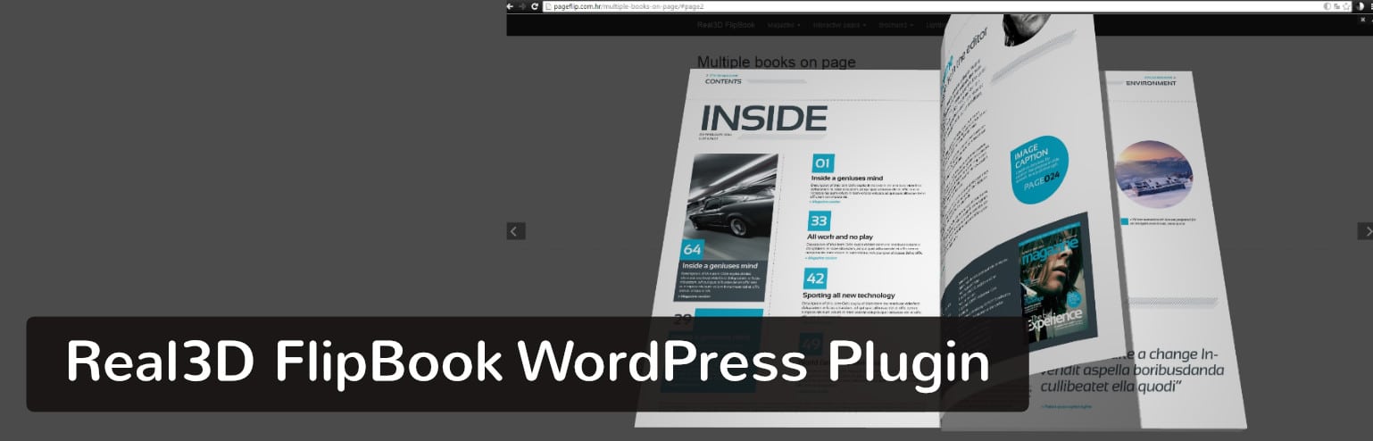 Plugin Real3D FlipBook WordPress