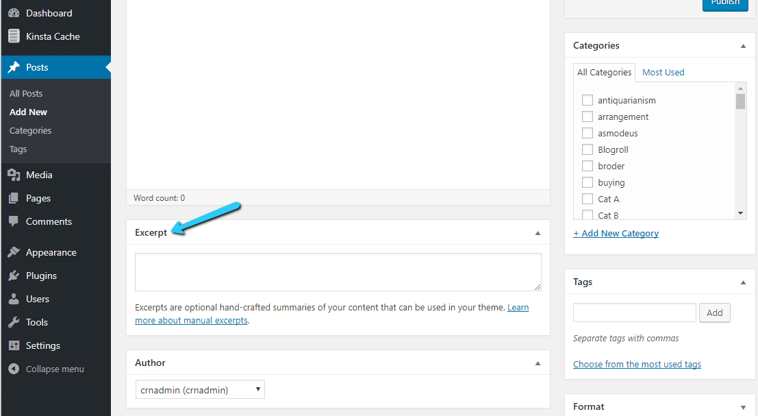 Inserire manualmente il riassunto nel box