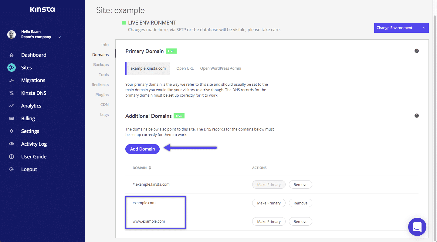 Domini Kinsta