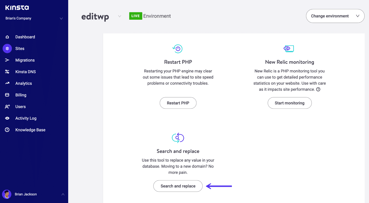 Il tool cerca e sostituisci di Kinsta