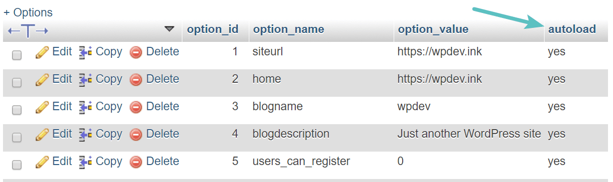 autoload nella tabella wp_options