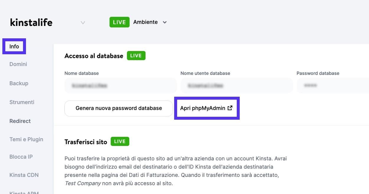 Il link a phpMyAdmin in MyKinsta