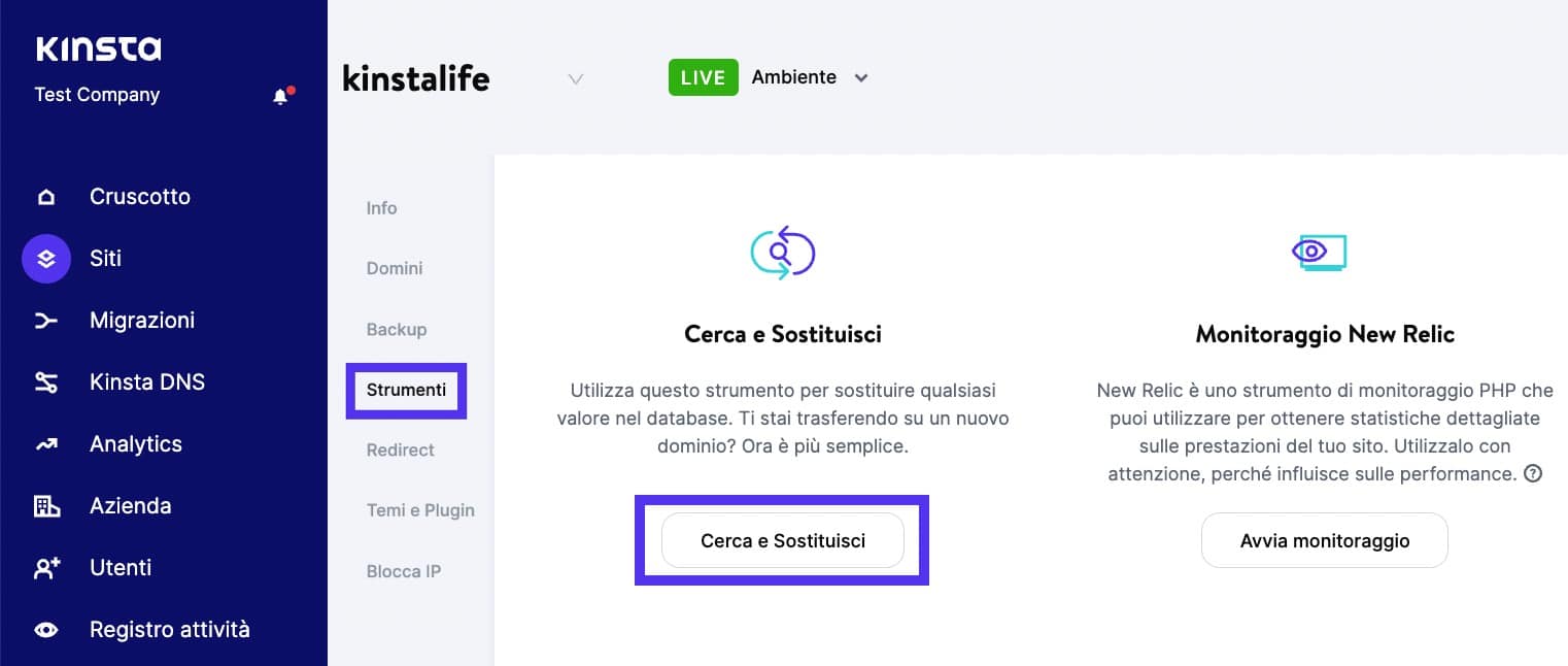 Lo strumento Cerca e Sostituisci di Kinsta