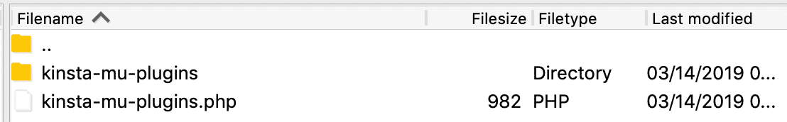 MU-Plugin Kinsta