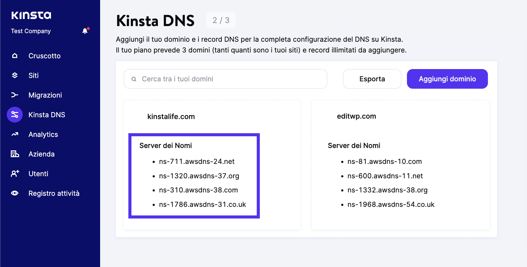 Nameserver su DNS Kinsta.