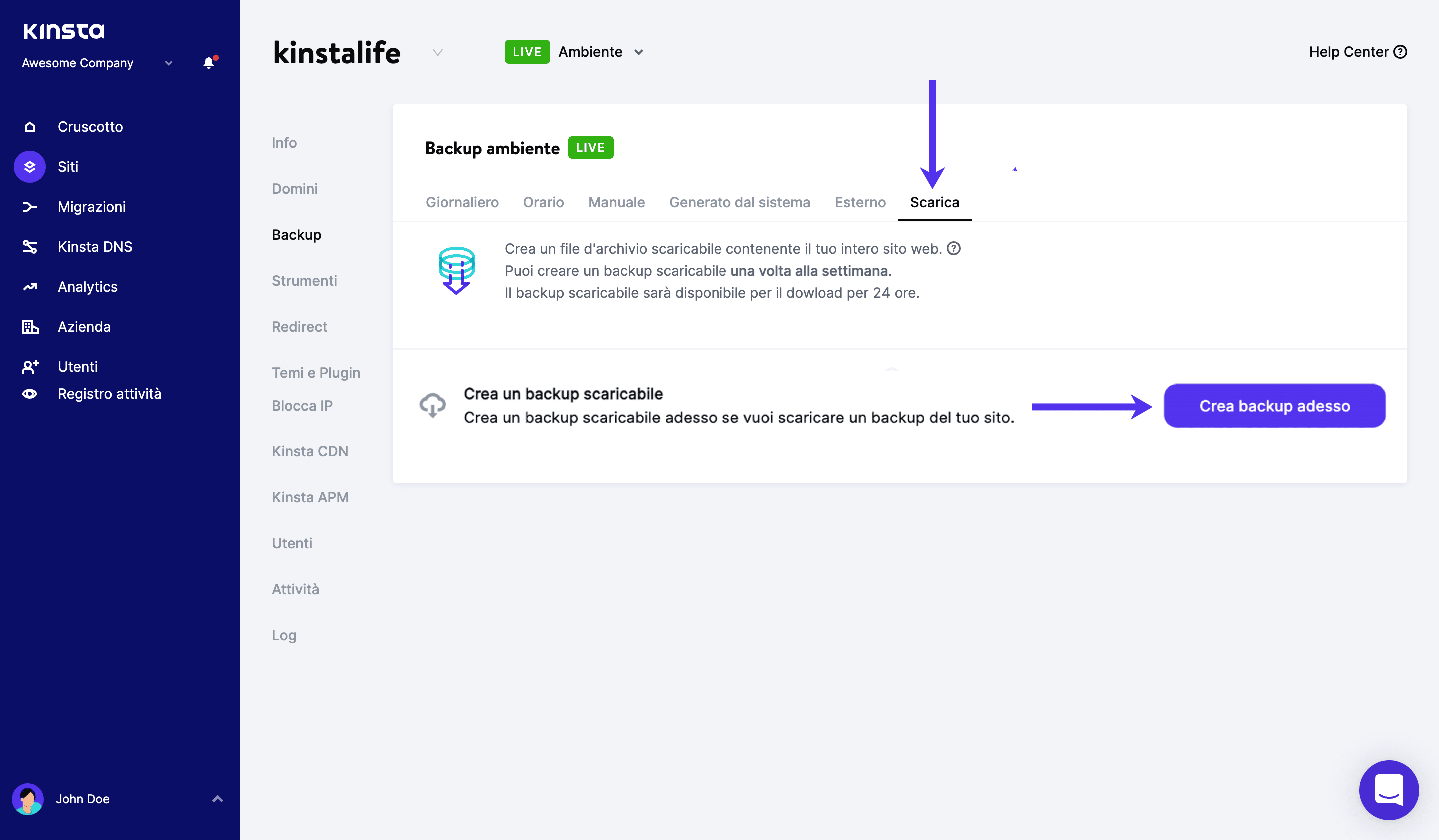 Backup scaricabile WordPress.