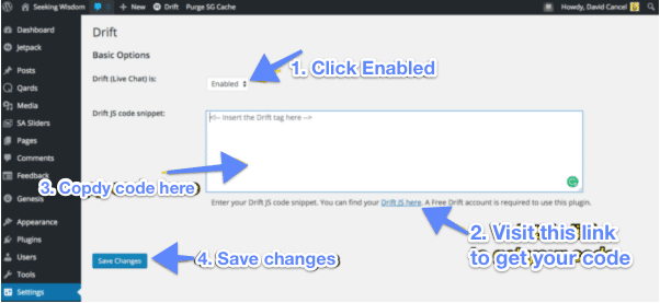 Impostazioni Drift in WordPress