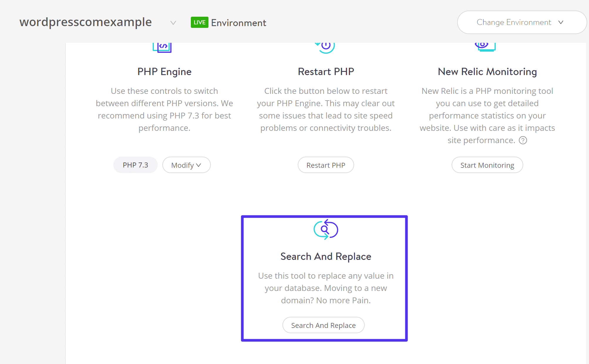 Strumento Cerca e Sostituisci di Kinsta